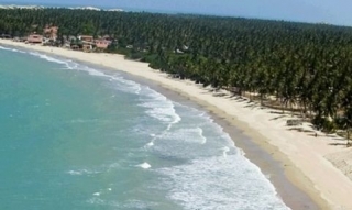  Surf en el paraíso 